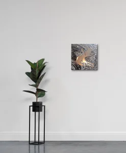 équilibresituationplante